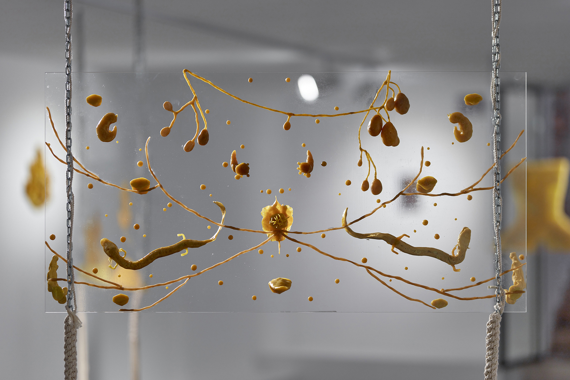 Gideon Horváth, Ecstatic faun, 2021, beeswax, glass, 100x50 cm, back view, photo by Dávid Bíró