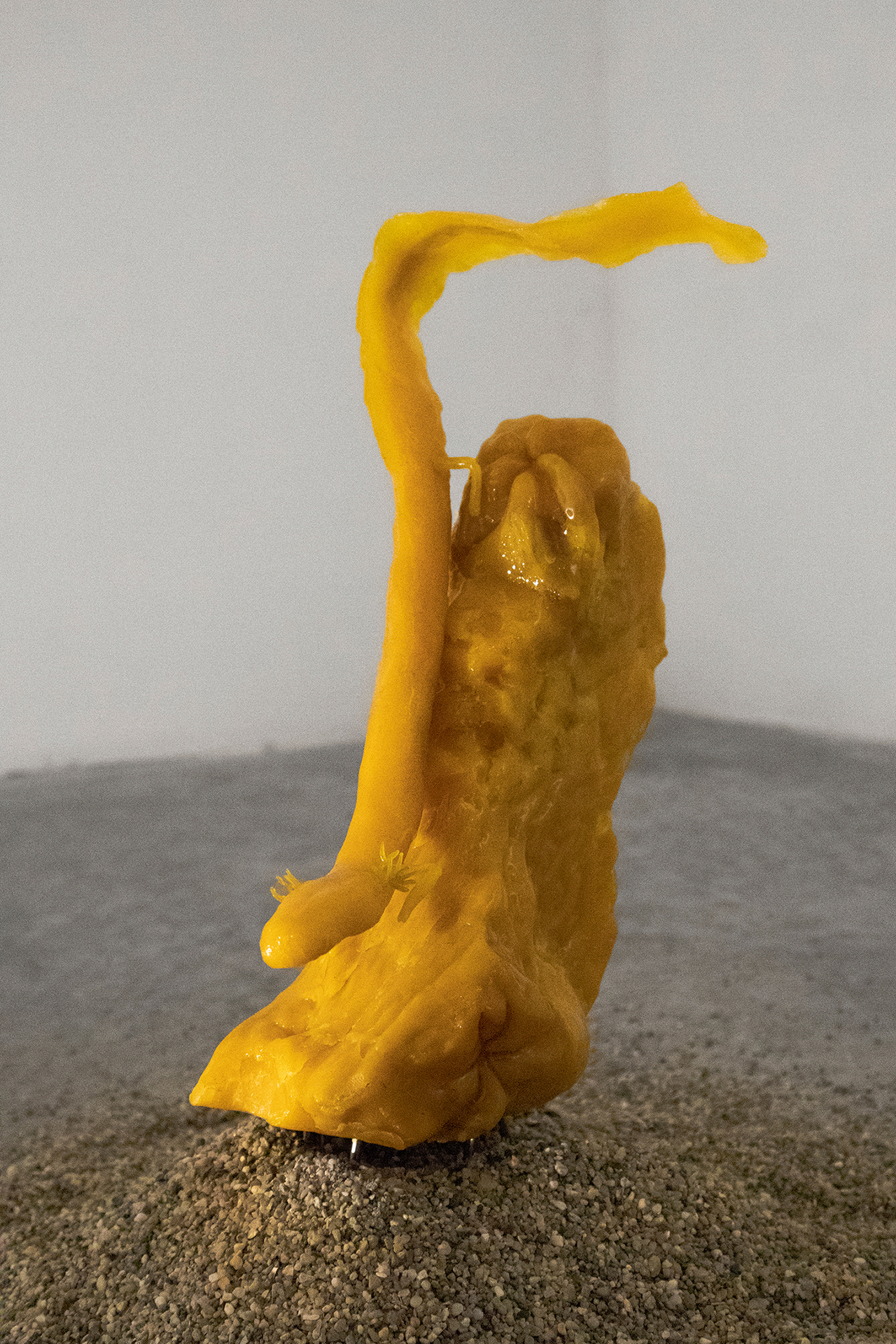 Gideon Horváth, The olm, 2021, beeswax, photo by Gideon Horváth