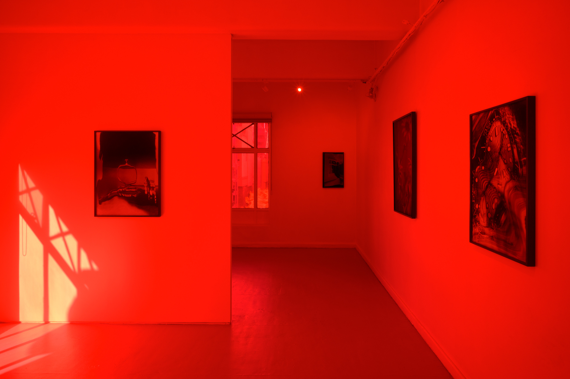 Aaron Christophe Rees, Horizon, 2021, Installation view with tinted windows 1, 2021.
