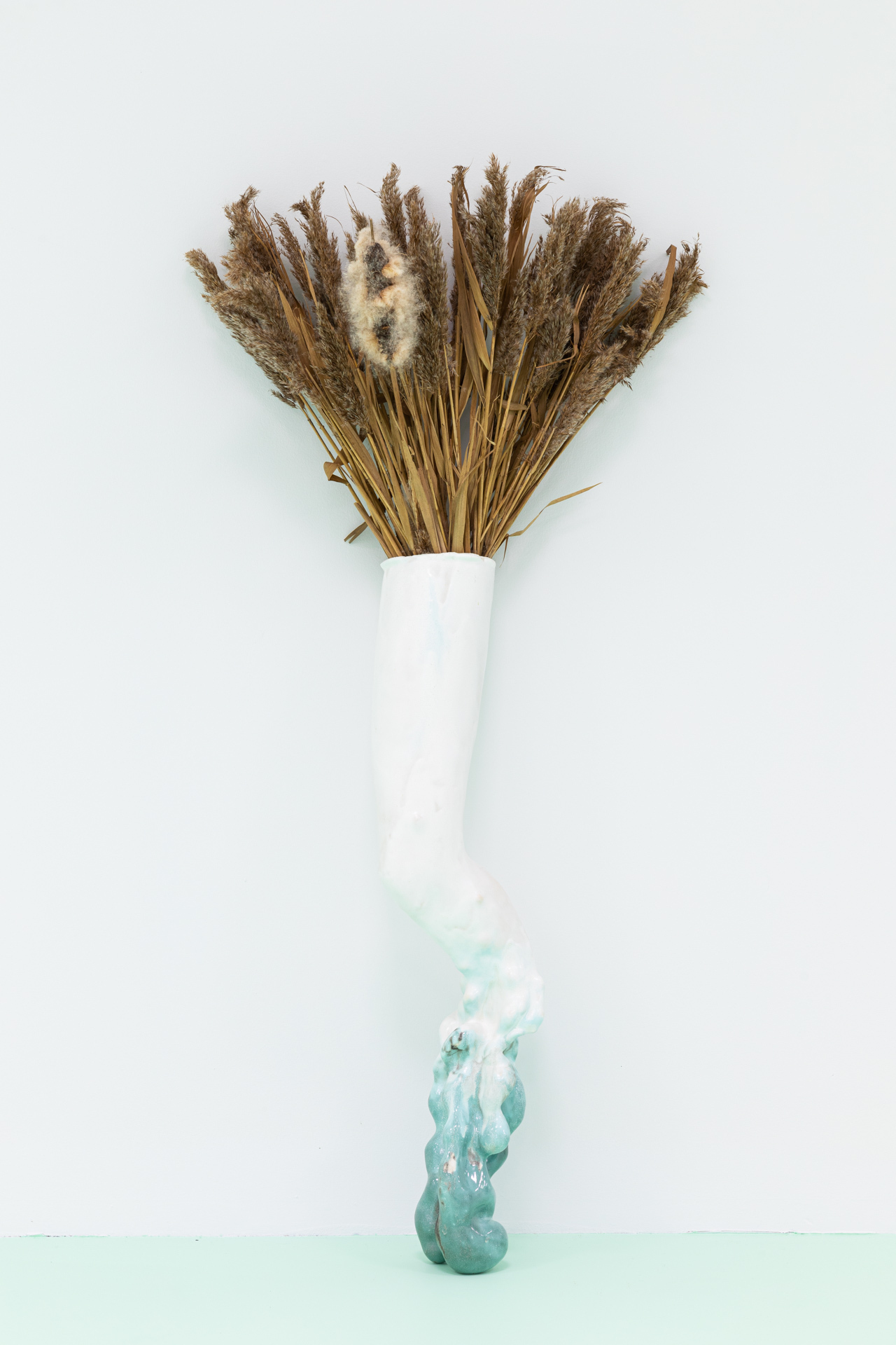 Amphora, glazed ceramic, phragmites, typha, 2020