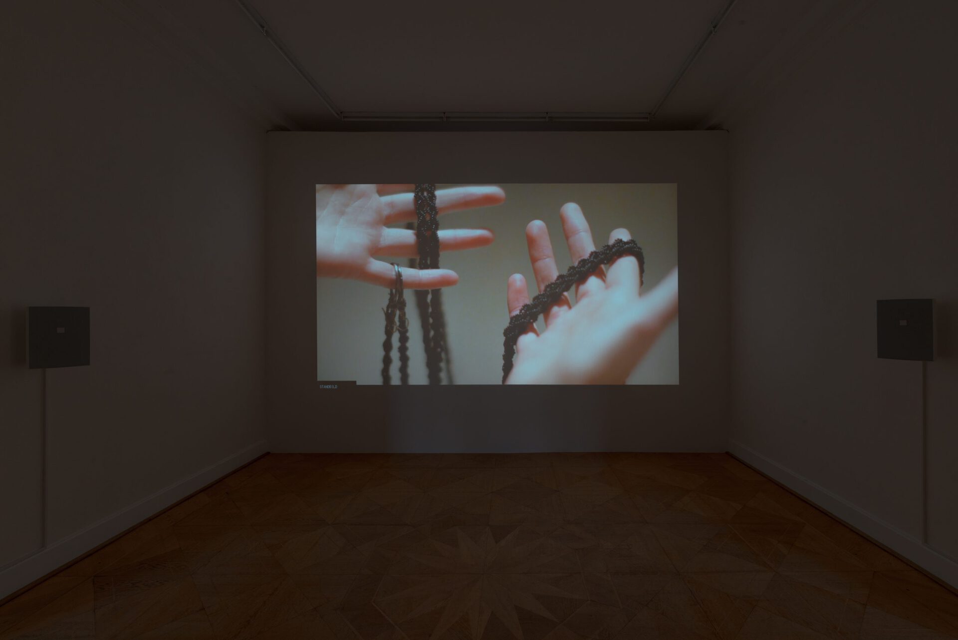 Jeneen Frei Njootli, Epistemic leghold trap, 2020, Installation View at Kunstverein Braunschweig 2020 Courtesy: the artist. Photo: Stefan Stark