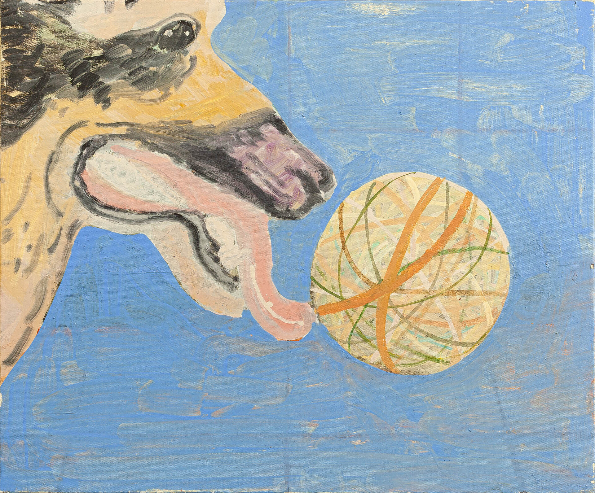 Travis MacDonald The German Shepherd with her ball of rubber bands, 2020 - 2021 oil on canvas 51 x 61cm