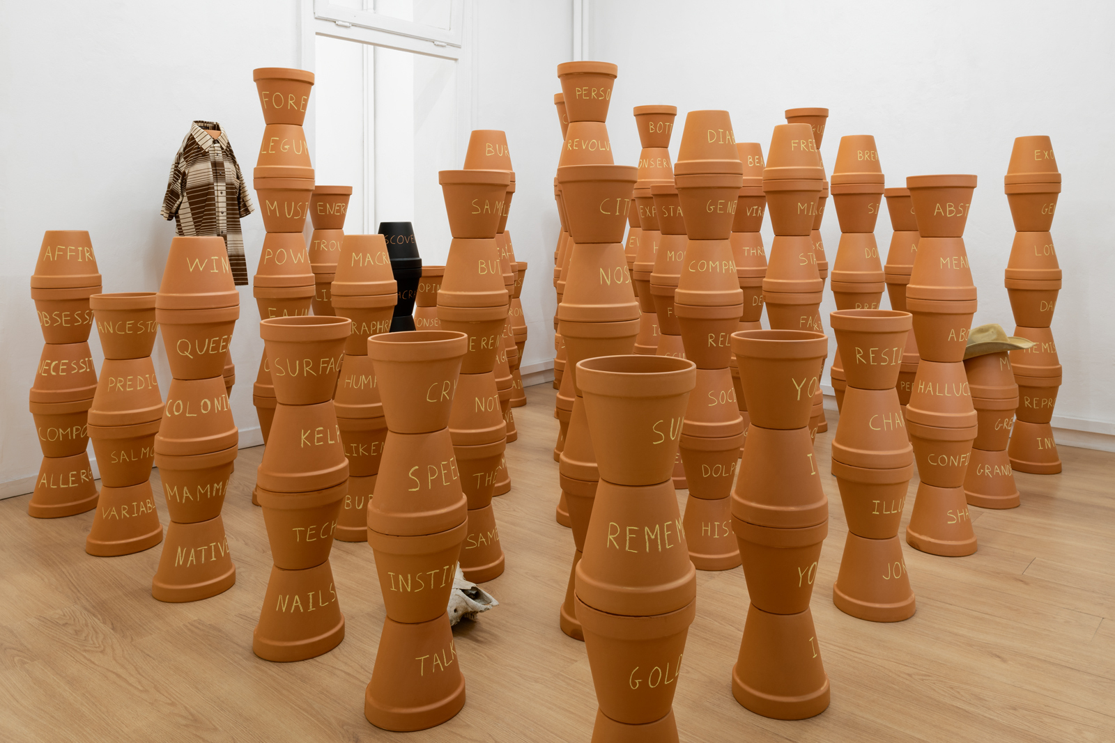 Jason Gomez Terra incognita at Clima, installation view