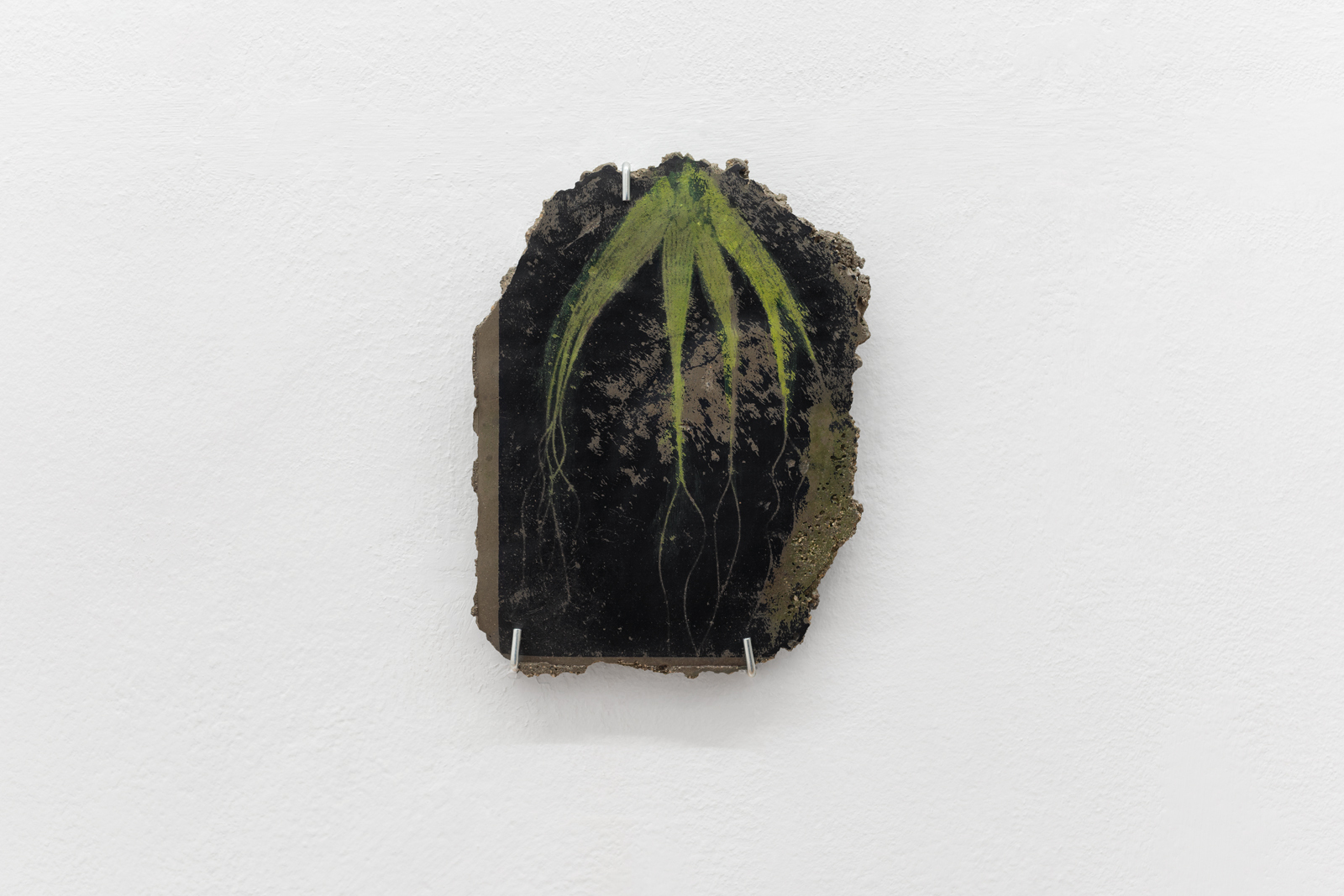 Jason Gomez, Elizabeth Ann Buckleberry, 2019, Wet-transfer on concrete, pigment 29x22x3 cm