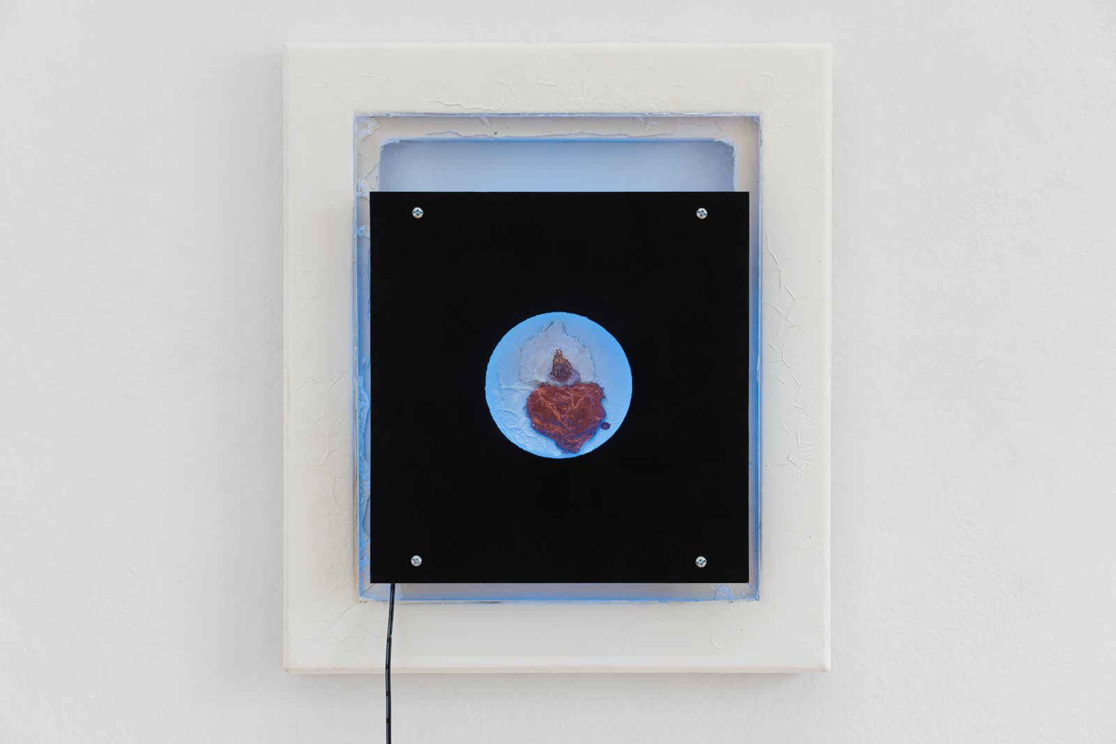 Jason Gomez, DenPhal2x, 2020 Pigmented acrylic and enamel on acrylic, artist frame with 12V lighting component 43x37,5x3,5 cm