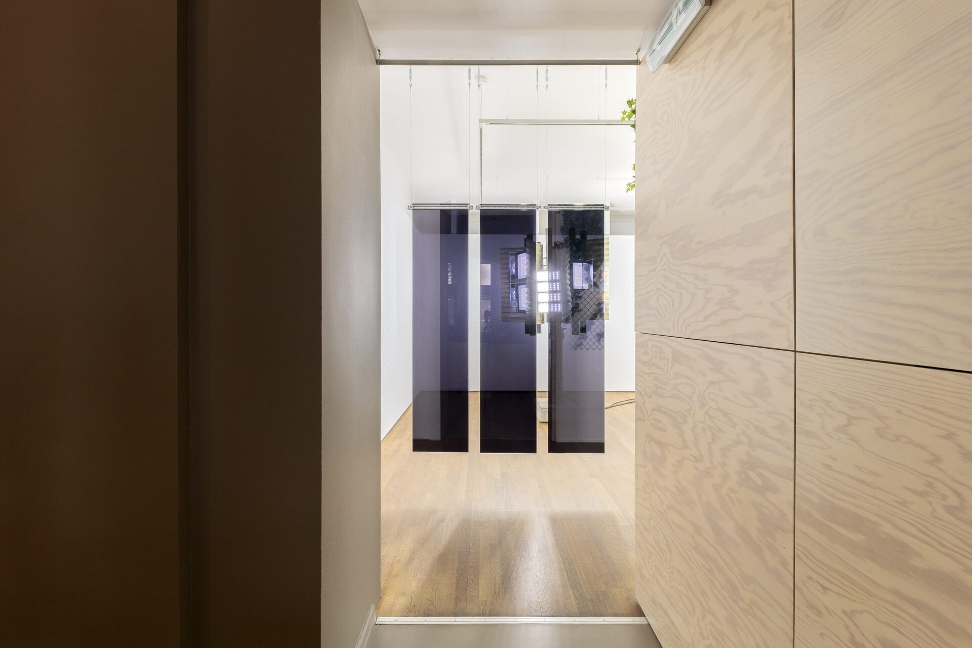 Arnaud Eubelen, Glass Shield X 3 (hanging glass) 50X 220 x 13- 2020 Glass - tinted film - hanging system