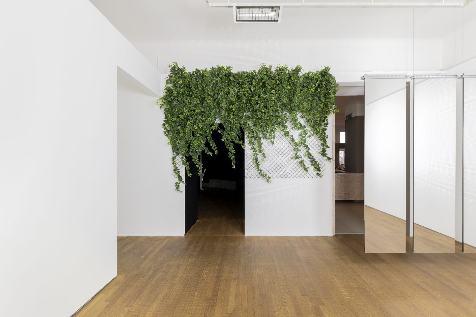 Arnaud Eubelen, Ivy Street Pattern +- 5000 x 3000 - 2020 Plastic ivy plant - wire mesh - threaded rod