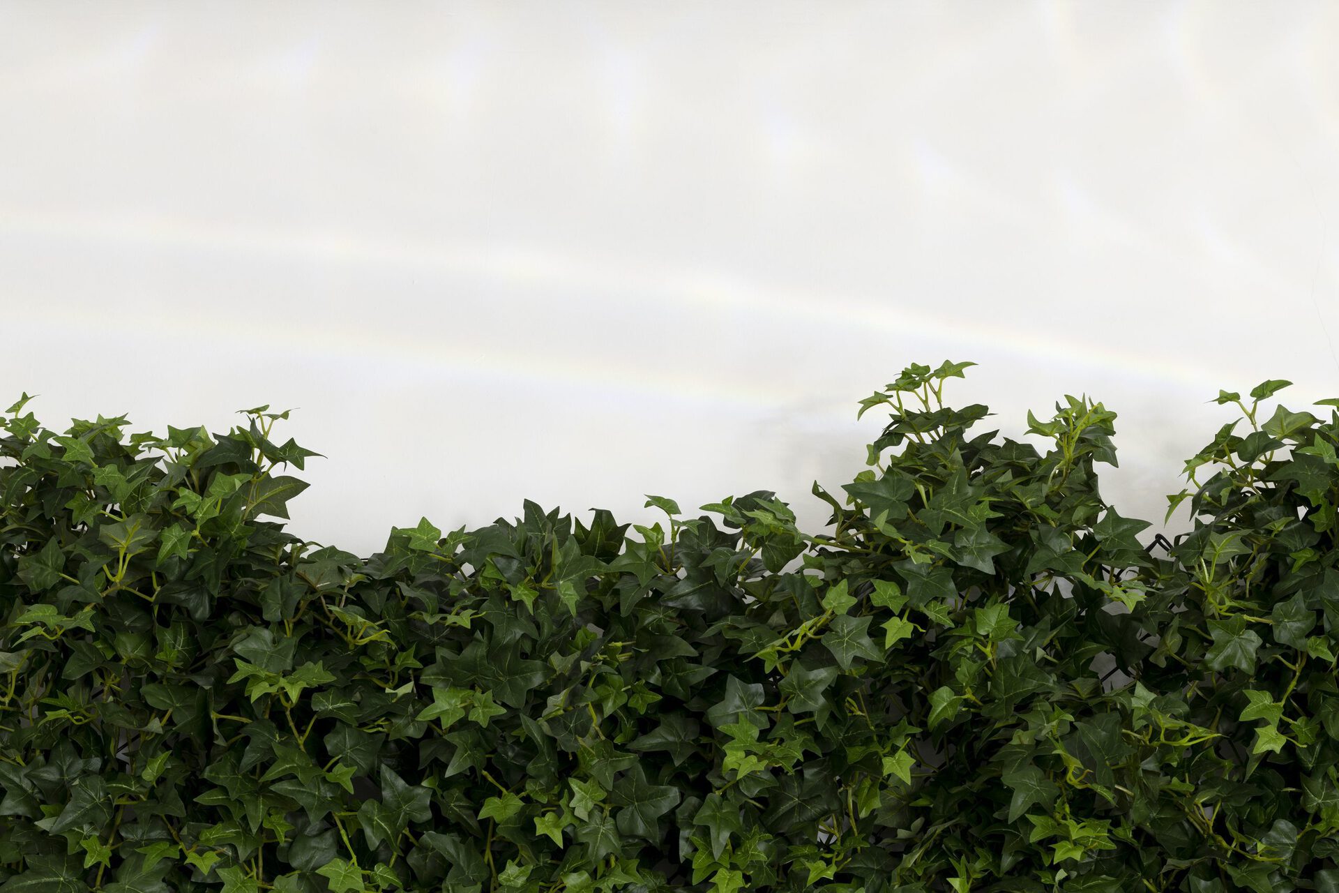 Arnaud Eubelen, Ivy Street Pattern close up