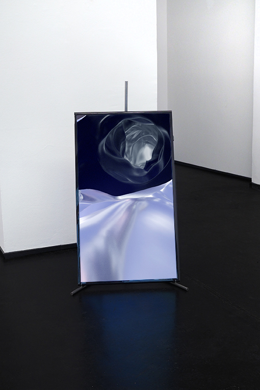 Dangerous Bodies, 2019, animation, HD video with sound, 05:15 min, installation view Jesuitenfoyer Vienna