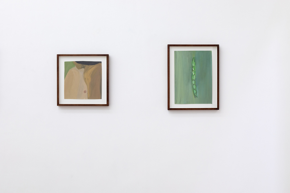 Alessandro Teoldi, venti giorni, installation view