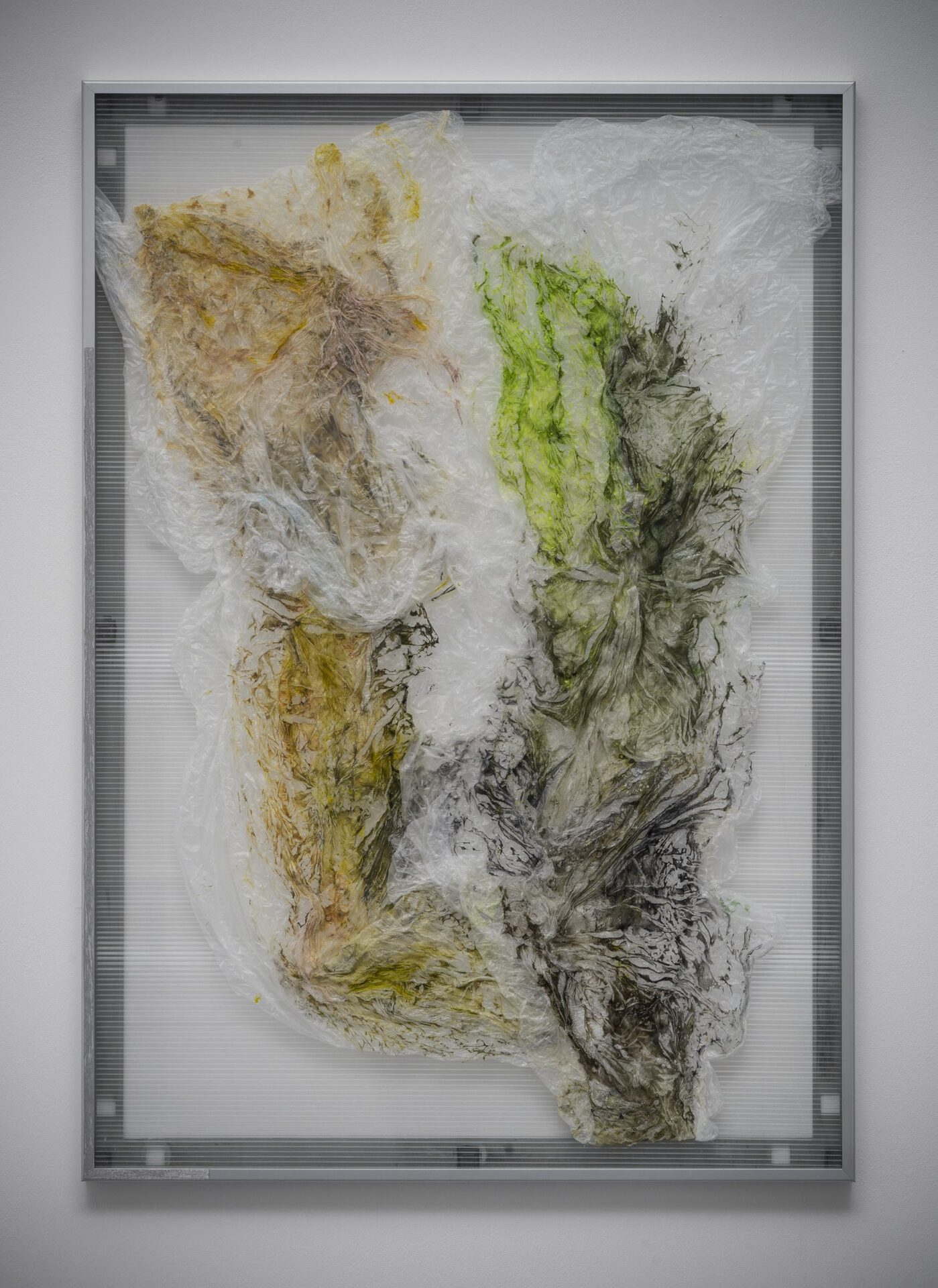 Wagehe Raufi, snake detection frame, 2020. Plastics, pigment, ink, agar-agar, water-retaining granules, aluminum, acrylic glass. 101 × 71 × 3 cm (39.8 × 28 × 1.2 in)