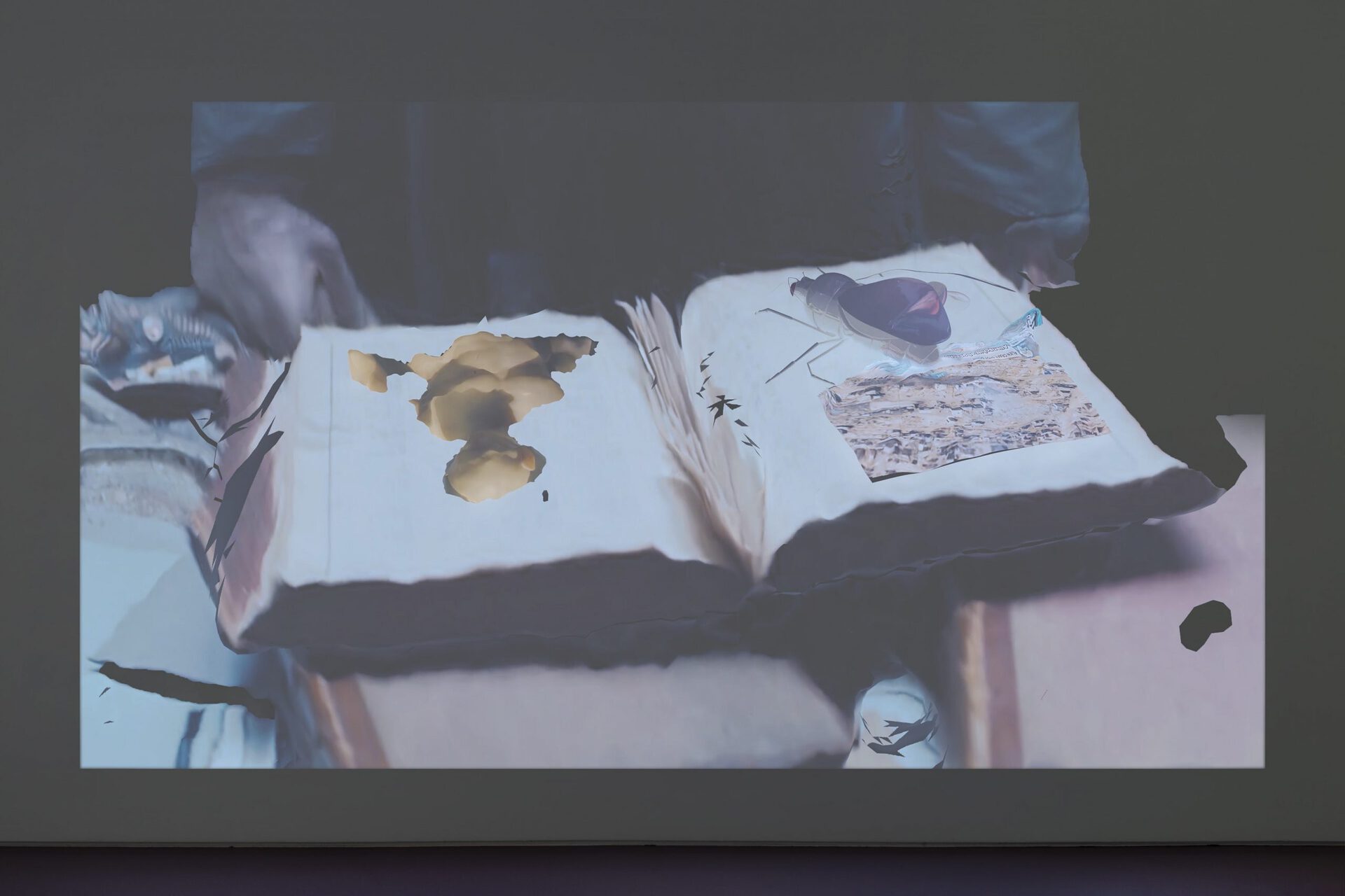Wagehe Raufi, hidden architect – moths as mess, 2020. Single channel 4K video, color, sound. 11 minutes 18 seconds