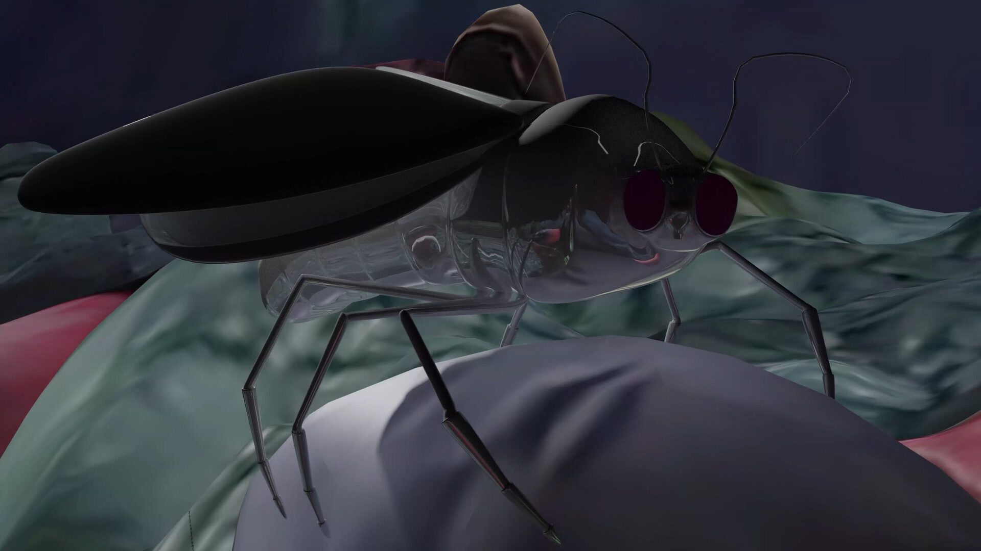 Wagehe Raufi, hidden architect – moths as mess, 2020. Single channel 4K video, color, sound. Still