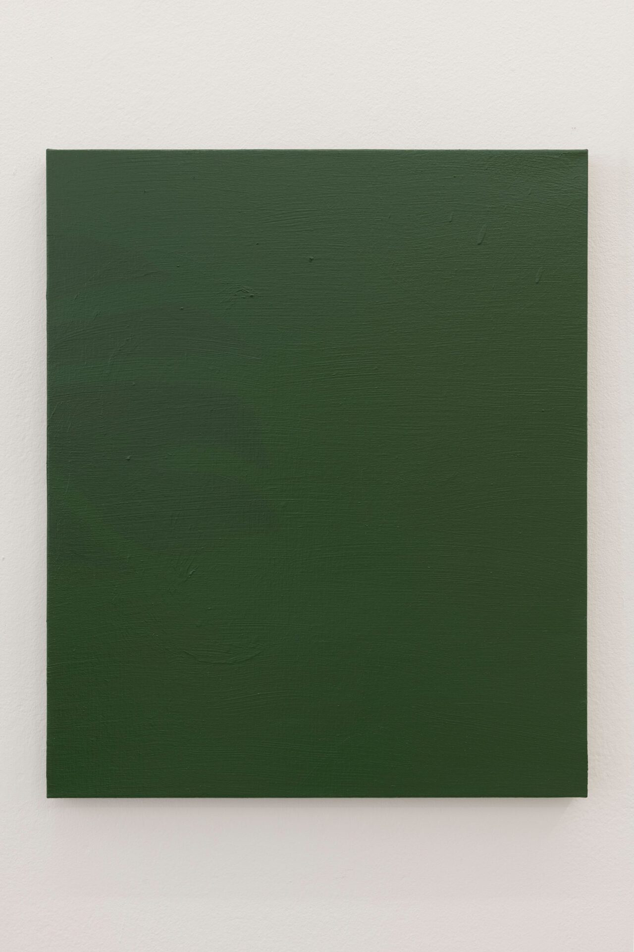 Monstera, Bernat Daviu, 2021, oil on linen, 65x54cm