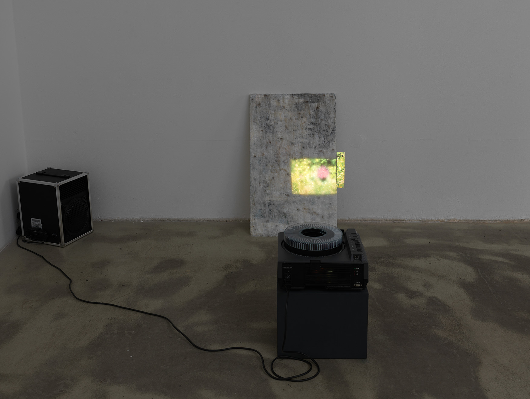 Installation view, A Mouth; A Tale, view on شمعآجین / Shamajin, 2020/2021, by Mahya Ketabchi, KLEMM’S showroom, 2021. Photo: Nick Ash