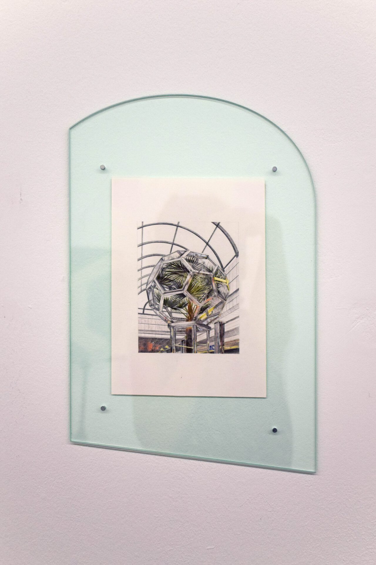 Palm vitrine, 2020, colored pencil on paper, plexiglass, 38 x 24 cm