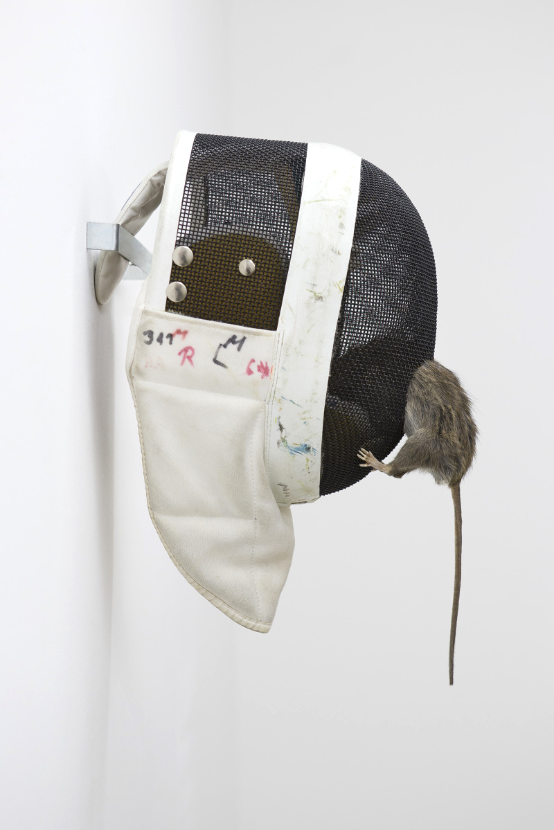 Billie Clarken, The Hard Road (species-essence), 2018, Fencing mask, taxidermy rat 60 x 35 x 27 cm