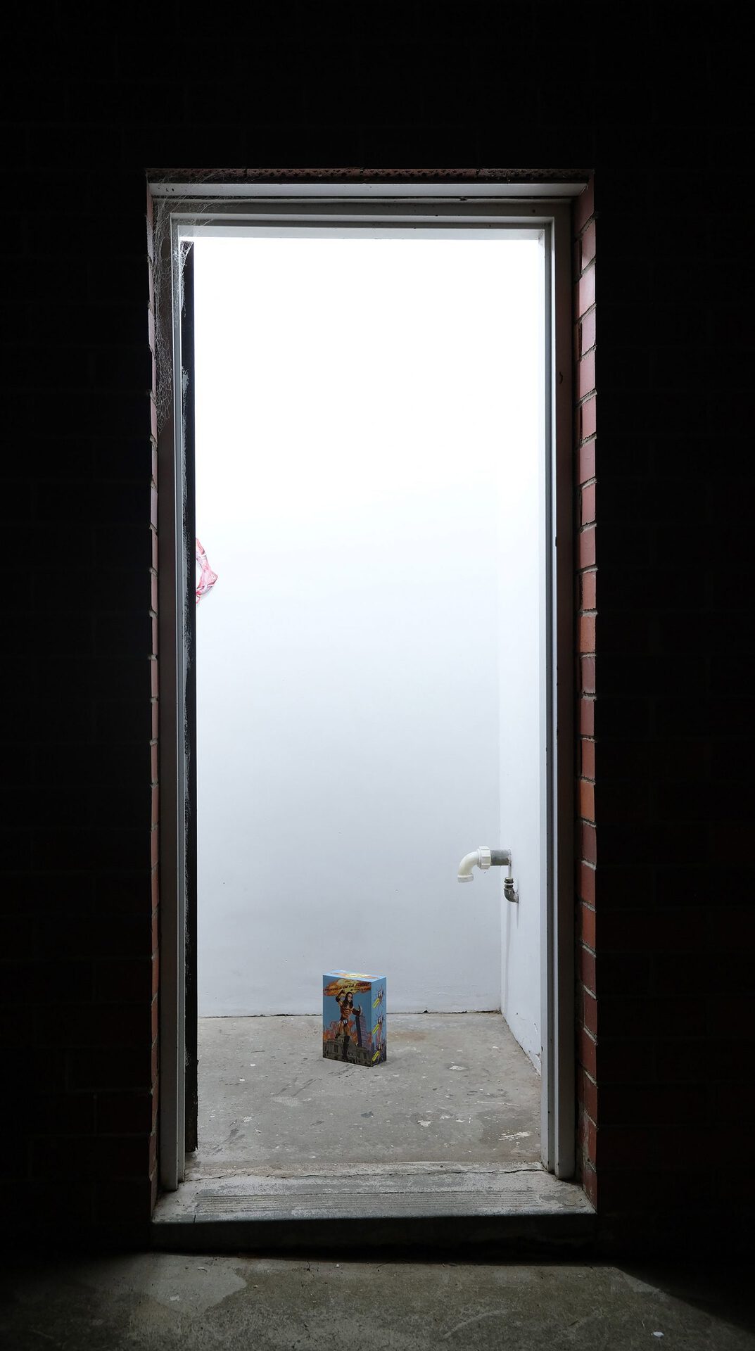 Desirescapes, 2021, Installation view.