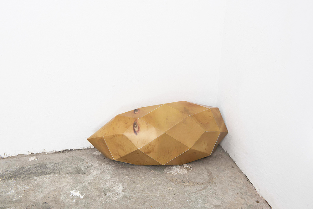 Gerardo Contreras and Bernardo Nuñez Magdaleno, Potato Vision, 2021, Paper.