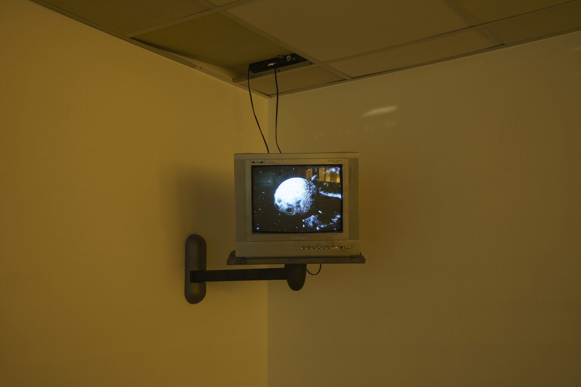 Sharon Fadida, Untitled (You've Been Had...You Turkey), 2020. 3D Animation, 20 seconds in loop of 2 minutes on monitor. Photo: Liat Elbling.