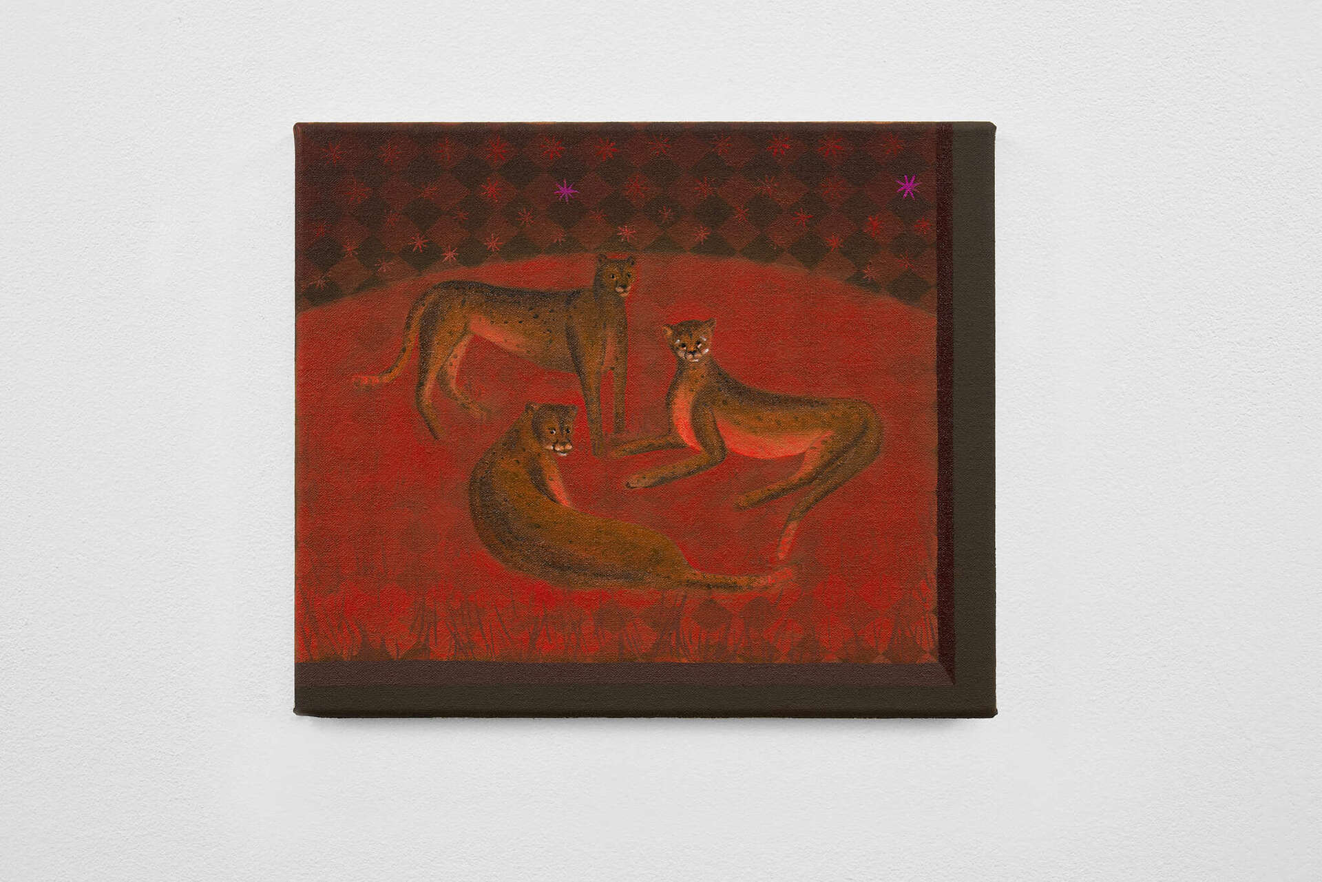 Aisha Christison, 3 Cheetahs, 2020, oil on linen, 28 x 33 cm
