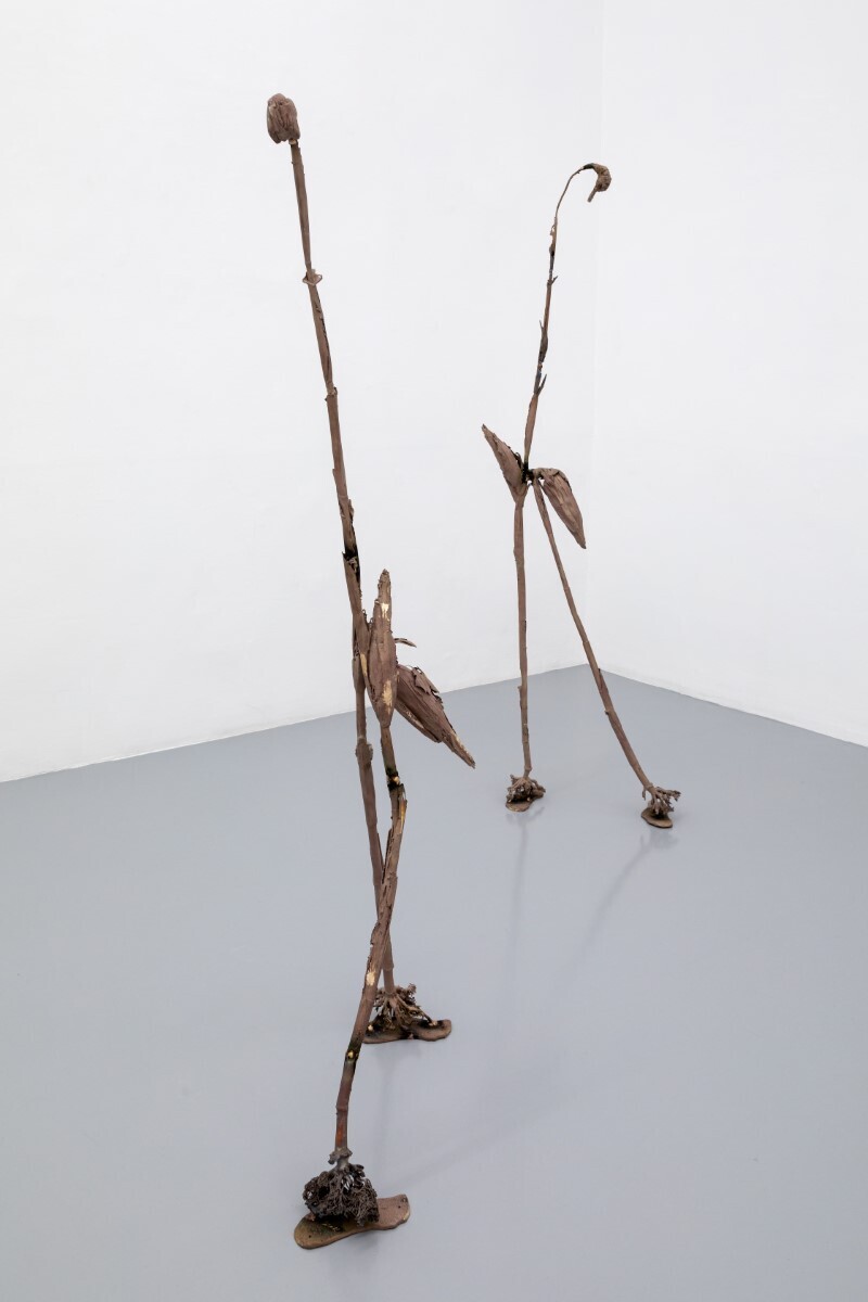 Luca Francesconi, Hormone Disruptors, 2021, exhibition view at Umberto Di Marino Gallery, Naples