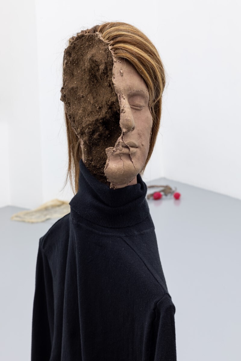 Luca Francesconi, Infertilità, 2021, bronze, aluminium, resin, cotton, human hairs, variable dimensions