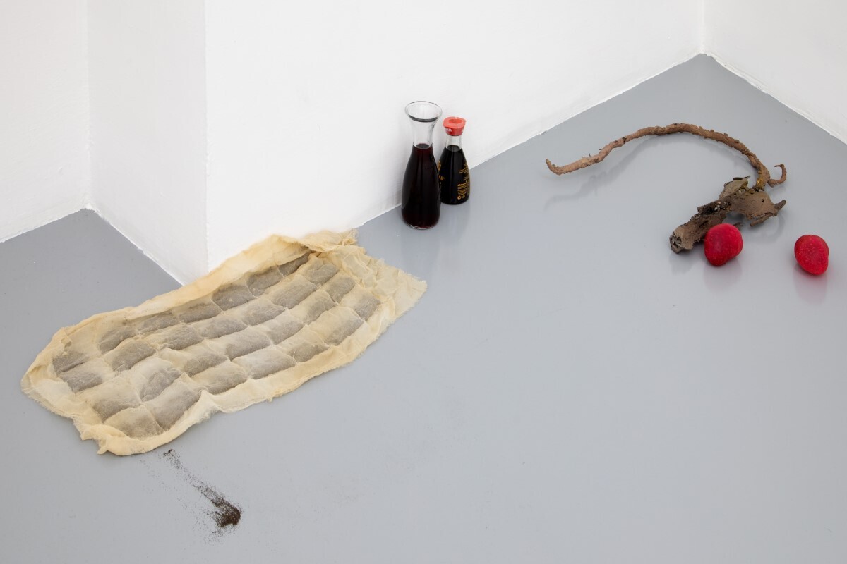 Luca Francesconi, Percorso di transizione sessuale e percorso di transizione agricola, 2021, bronze, soy, glass, plastic, wine, resin, silk, soil, variable dimensions