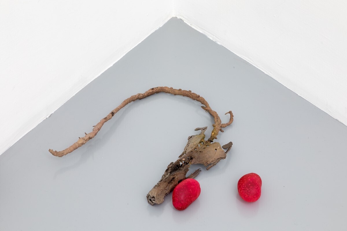 Luca Francesconi, Percorso di transizione sessuale e percorso di transizione agricola, 2021, bronze, soy, glass, plastic, wine, resin, silk, soil, variable dimensions