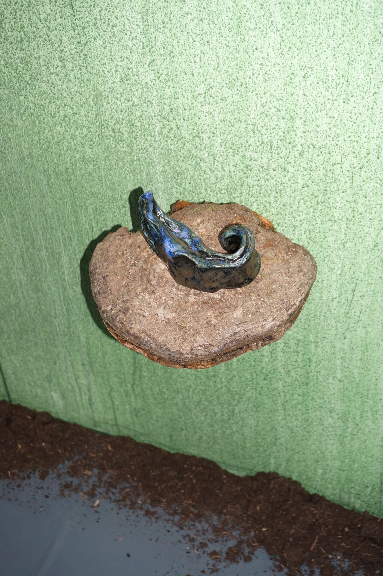 Asuka Takagi, Slug, 2021, ceramic