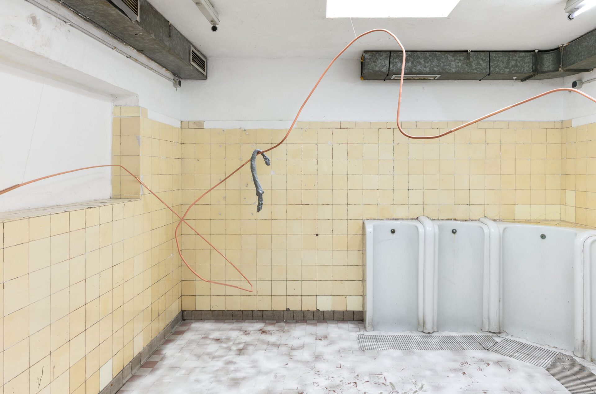 Anna Mirbach, Monade, installation, 2021