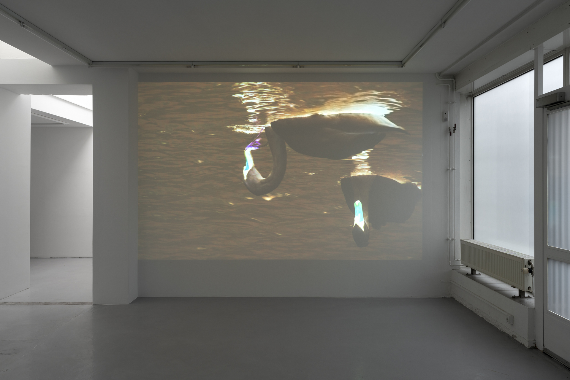 Marie Kølbæk Iversen, Portents, 2021, Video installation