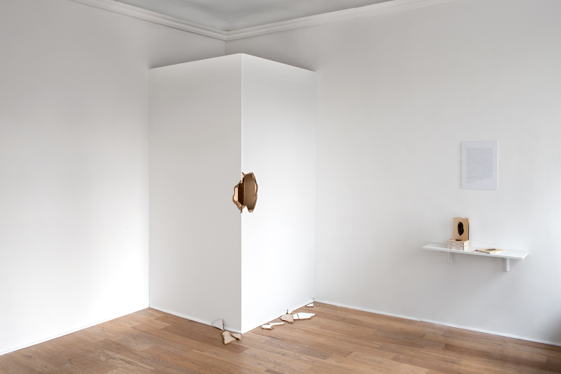 Sonja Nilsson, AP PRO PRI A TION !, 2019, various materials, 250 x 128 x 125 cm