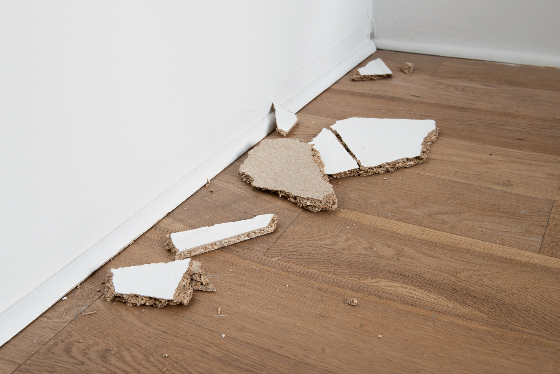 Sonja Nilsson, AP PRO PRI A TION !, 2019 (detail)