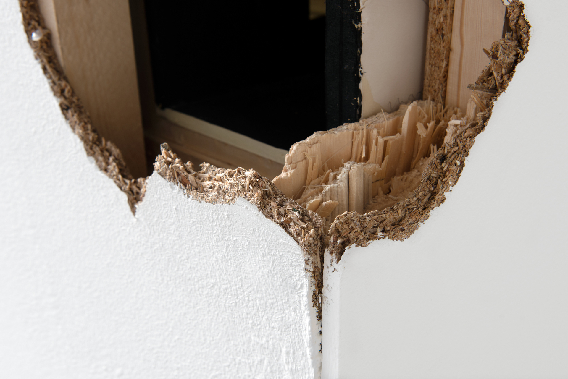 Sonja Nilsson, AAAAAUUTHHHENTENTICITYYYY, 2019 (detail)