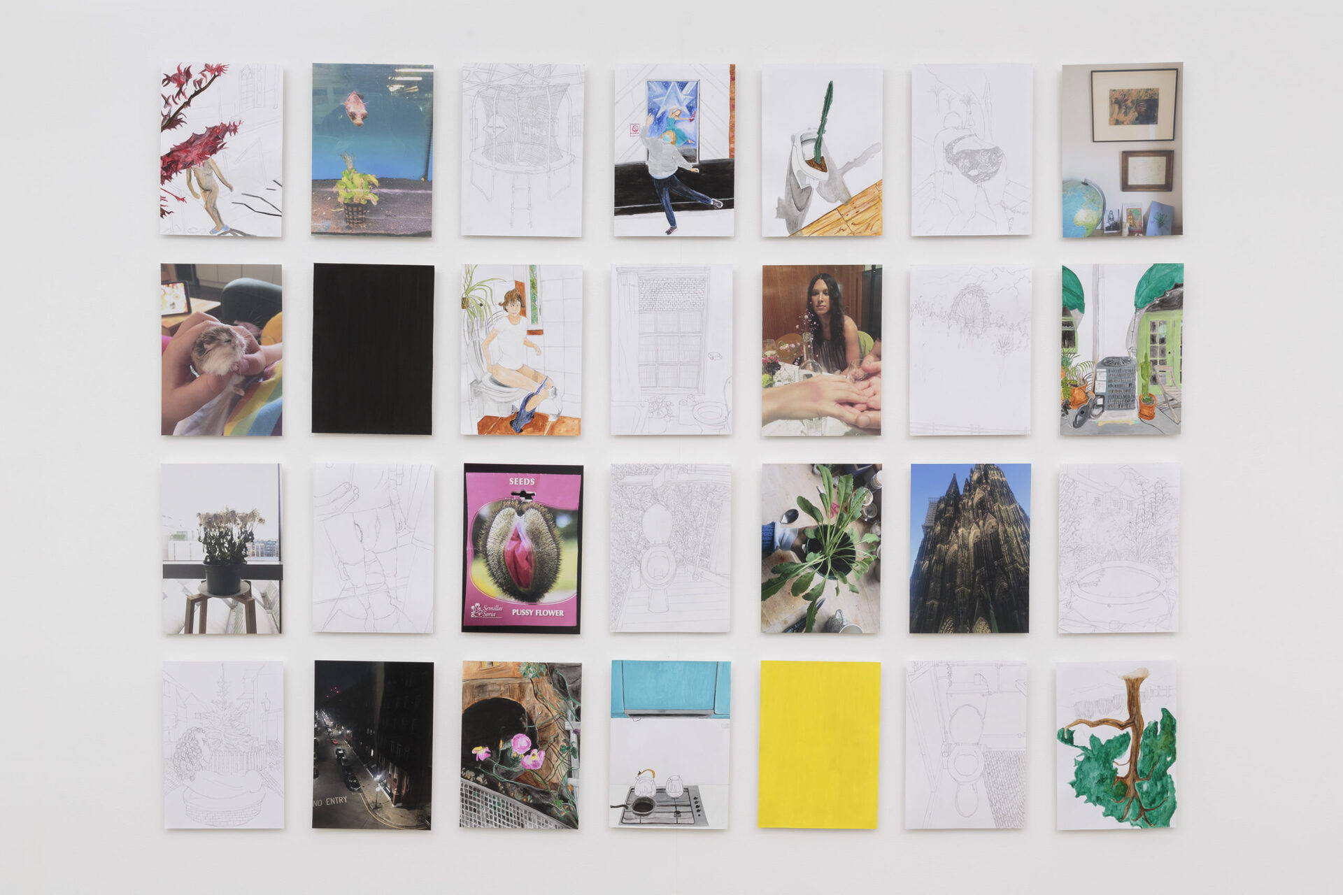 Juliette Blightman, Stages of Seed Development, 2020, pencil on paper, photographic print, gouache, 28 × (27,4 × 20,8 cm). Courtesy Juliette Blightman and Arcadia Missa, London.