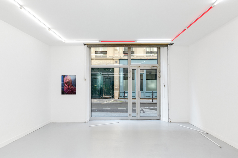 Installation view, Eifersucht, Parliament, Paris