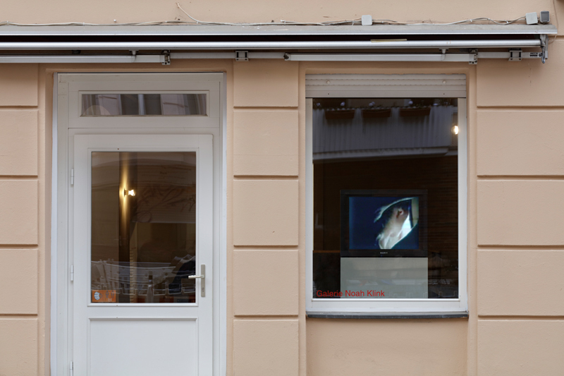 Installation view, Eifersucht, Galerie Noah Klink, Berlin