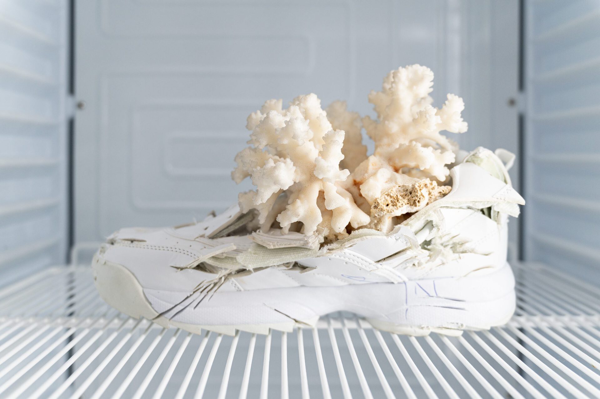 Nicolas Lamas: Untitled Shoe, coral 2021