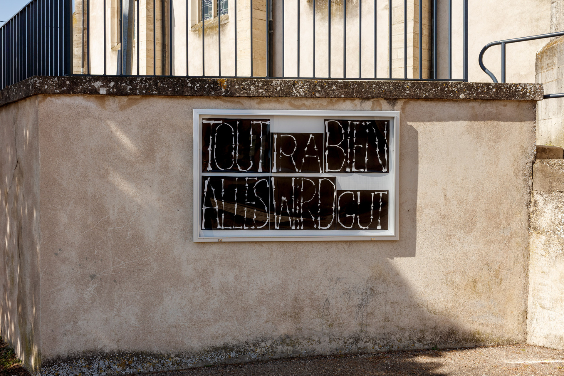 Gina Folly, TOUT ALLES IRA WIRD BIEN GUT, 2021, photogram of animal bones, Aluminium Notice Display locked.