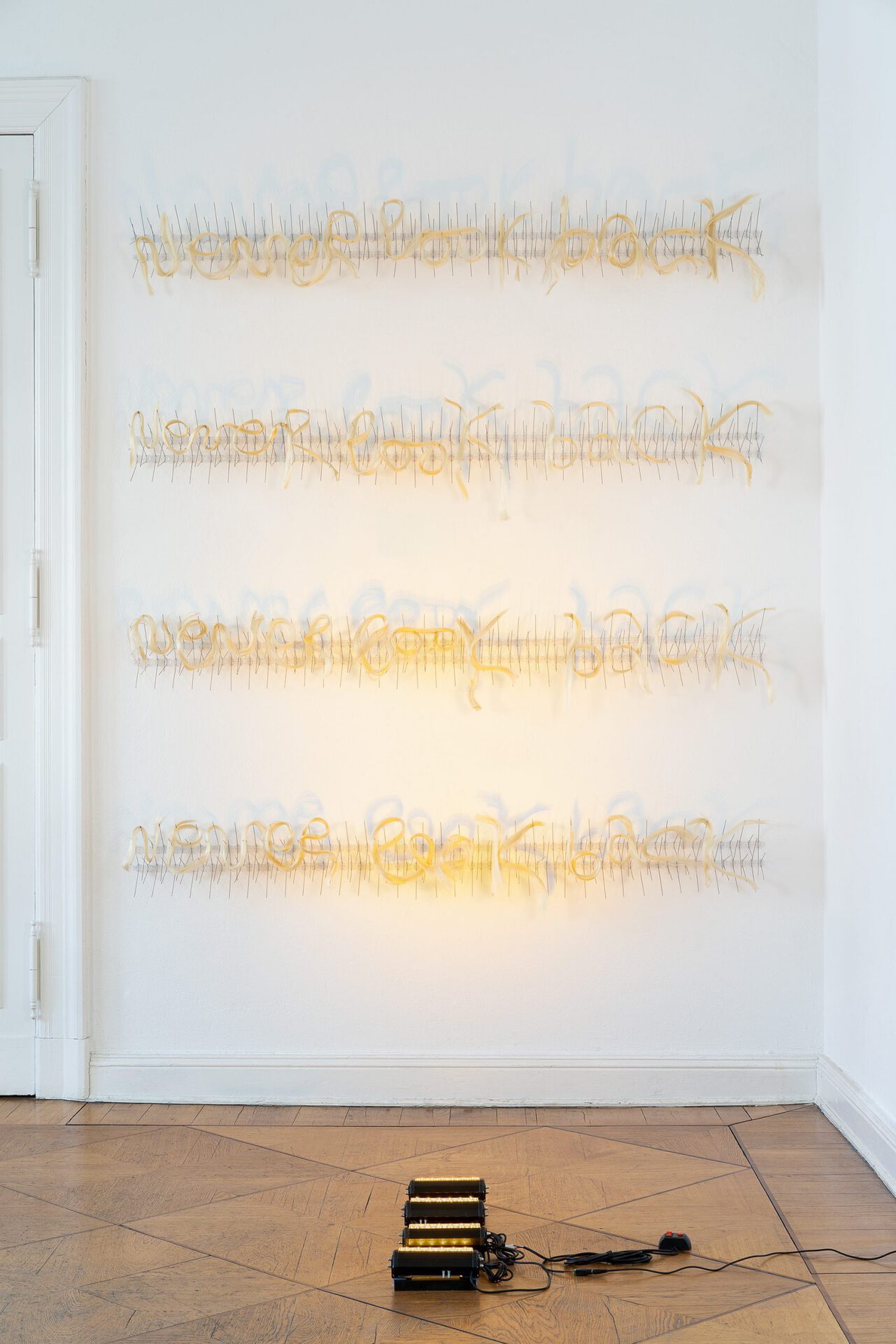 Rebekka Benzenberg, Never look back, 2020,Pigeon spikes, hair extension, grill lights, 200 x 170 x 15 cm
