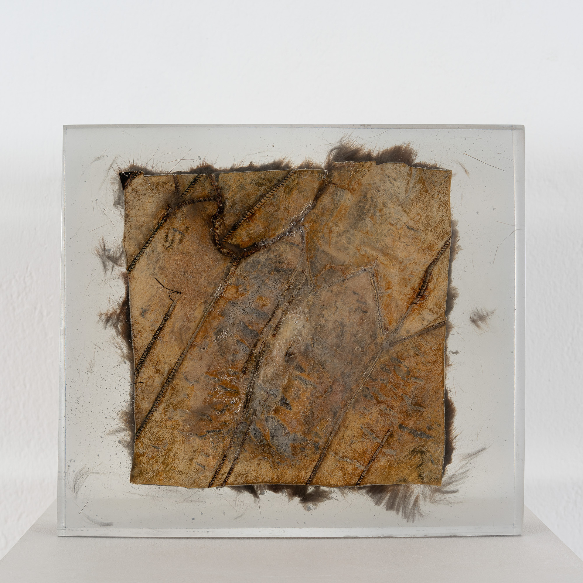 Rebekka Benzenberg, Stands for, 2021, Fur and bleaching agent in polyester resin, ca. 26 x 26 x 5 cm
