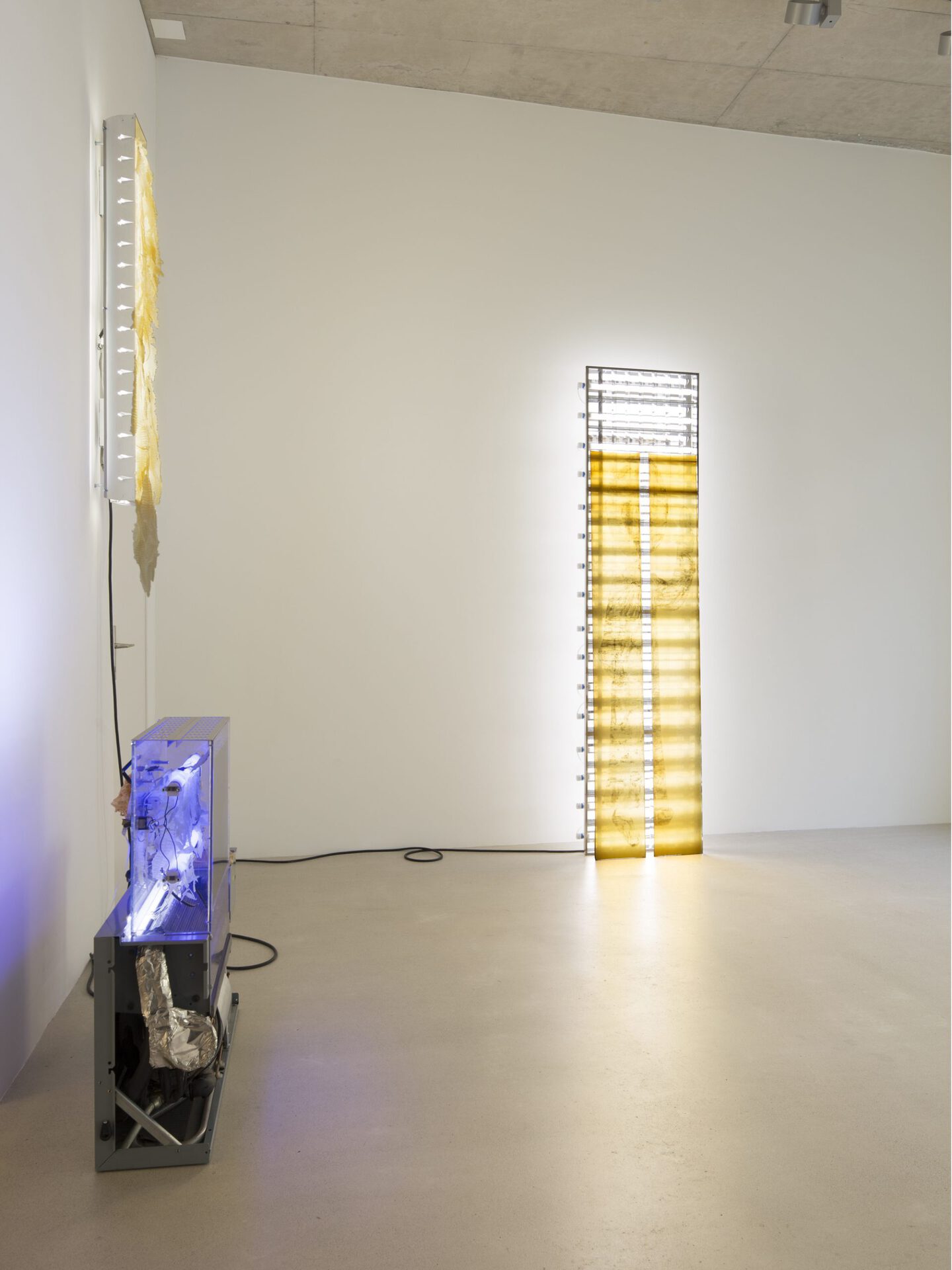Exhibition View Chloé Delarue Solo Show «TAFAA – BLUE LIGHTS TENDERNESS» at Windhager von Kaenel, Zurich, 2021 / Photo: © Florimond Dupont / Courtesy: the artist and Windhager von Kaenel