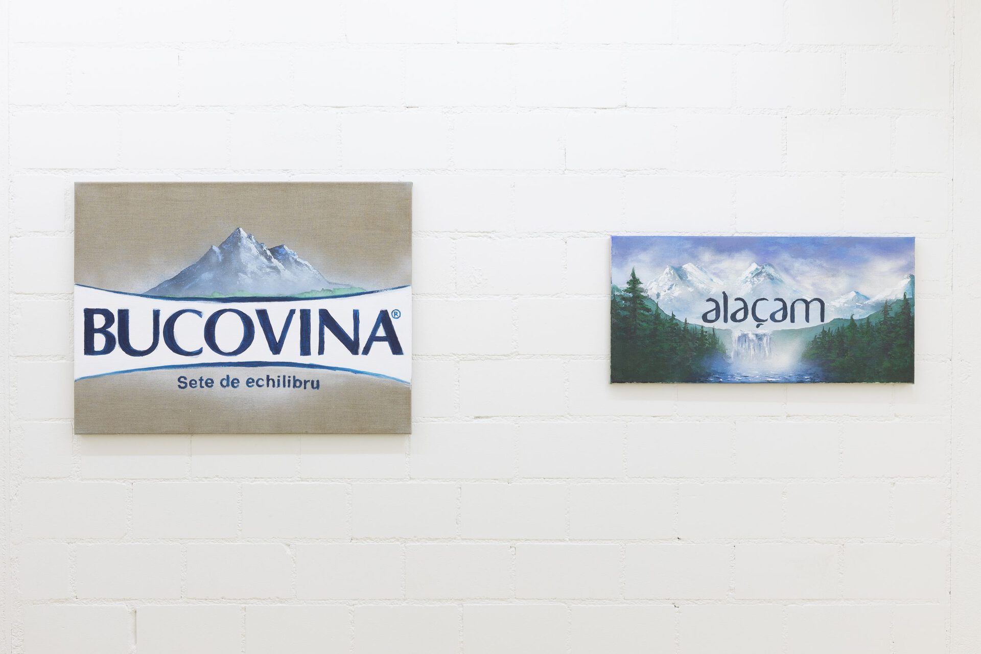 Thomas Moor, Bucovina, acrylic, silkscreen ink and gesso on linen, 60 x 80 cm, 2020