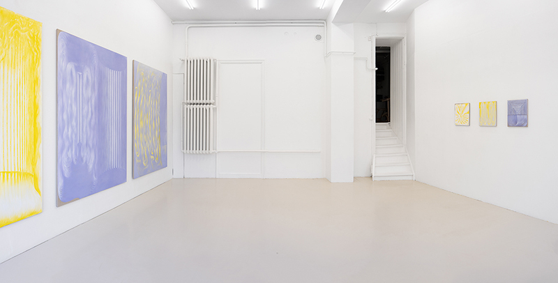 Vika Prokopaviciute, Pale Echo installation view.