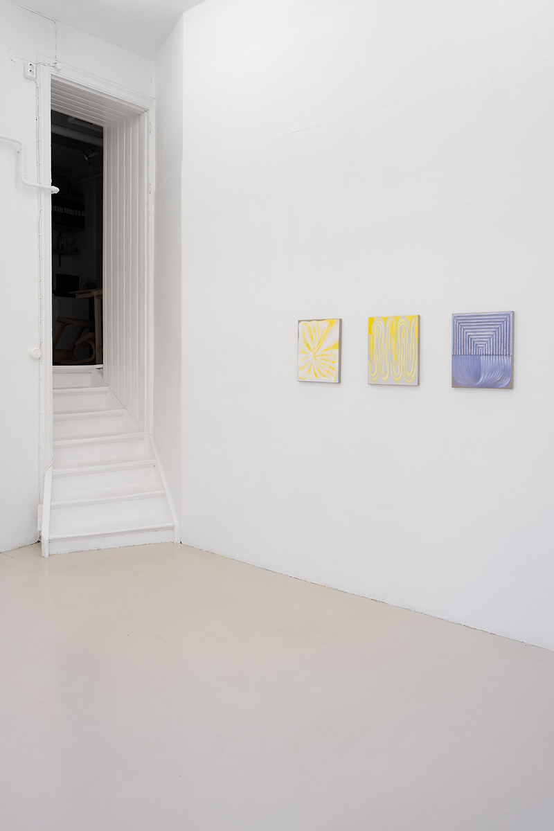 Vika Prokopaviciute, Pale Echo installation view.