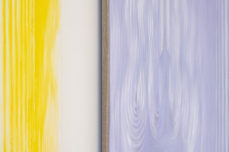 Vika Prokopaviciute, Pale Echo installation view.