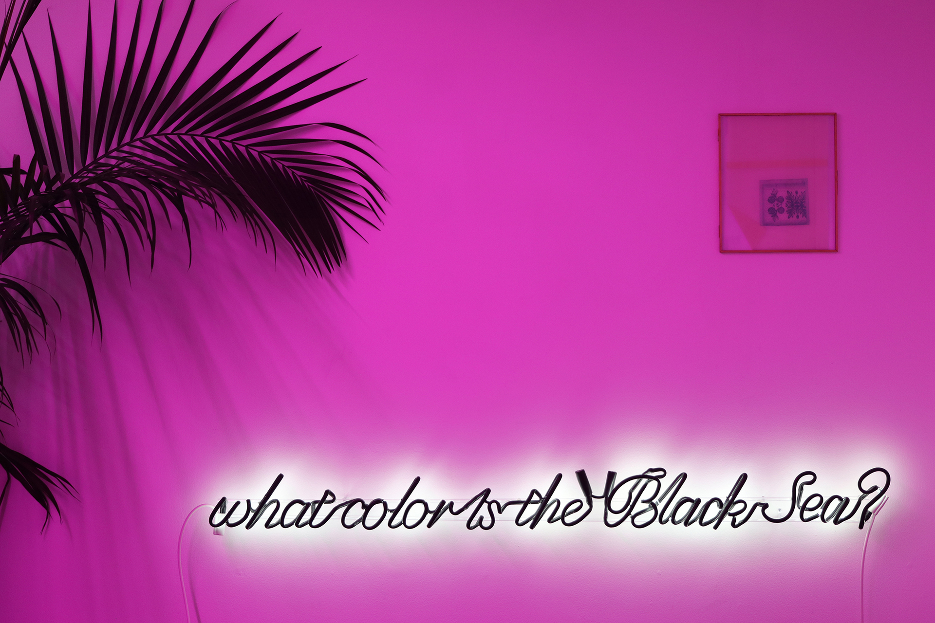 Levan Mindiashvili, what color is the Black Sea? 2021, blacked-out white neon, 6 x 63 inches