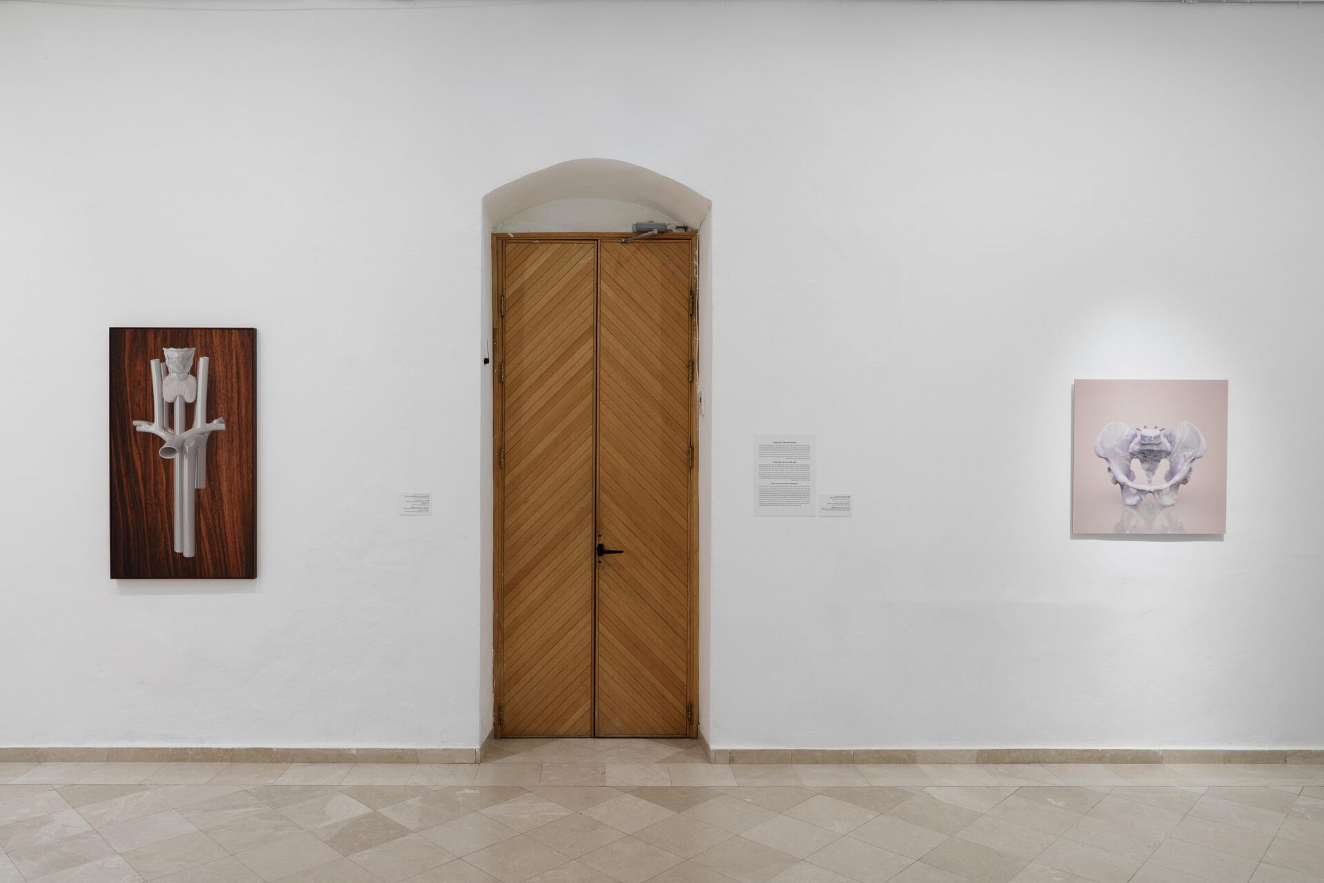 Adi Fluman, Pandora's Box, 2021, installation view, The Negev Museum of Art, Be'er Sheva. Photo Tal Nisim. Courtesy of the artist and Dvir Gallery, Tel Aviv/Brussels