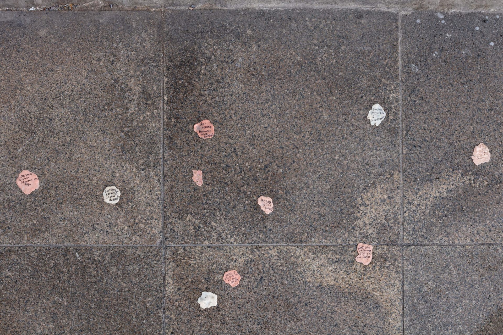 Leda Bourgogone and Mira Schor, "Blood of a Poet," Install 8